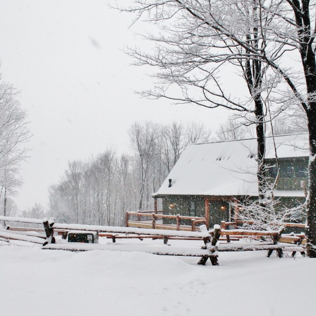 Ellicottville Chalet Homes