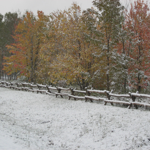 lofty ellicottville nature