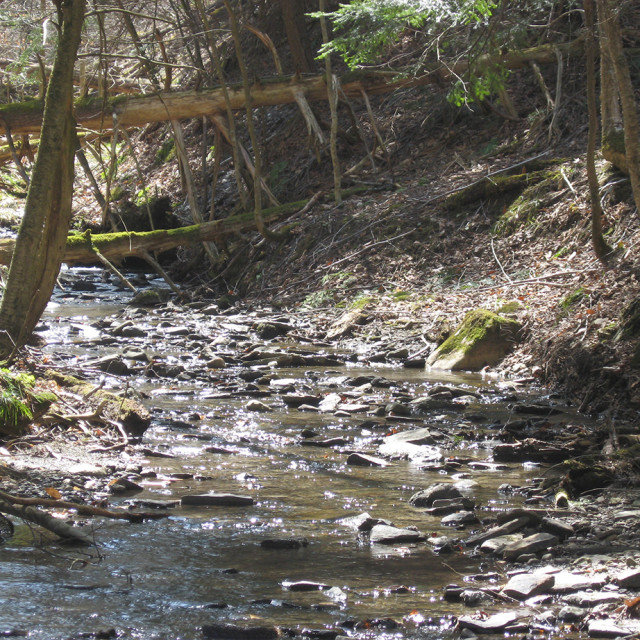 Year round running stream