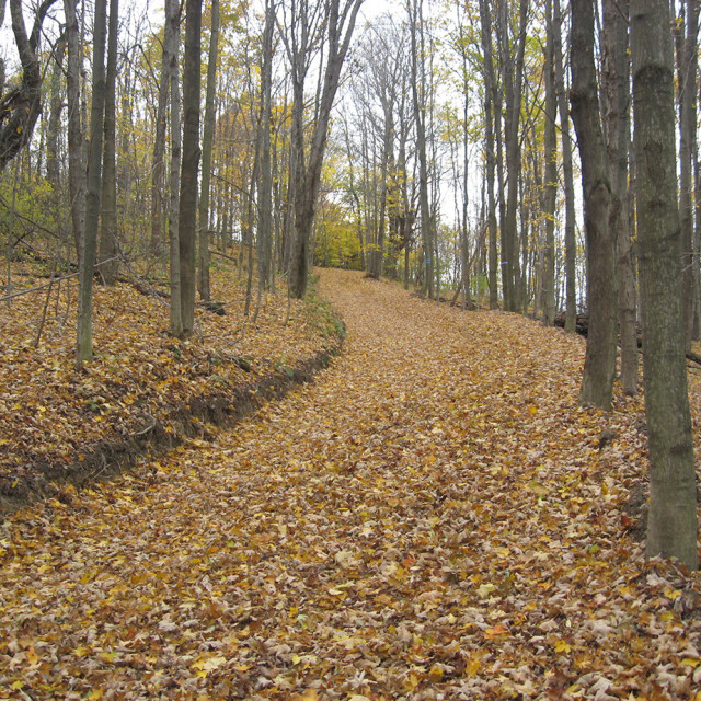 Deeded 2 miles of nature trails for mountain biking, snowshoeing , hiking